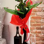 Διαμέρισμα Forum *