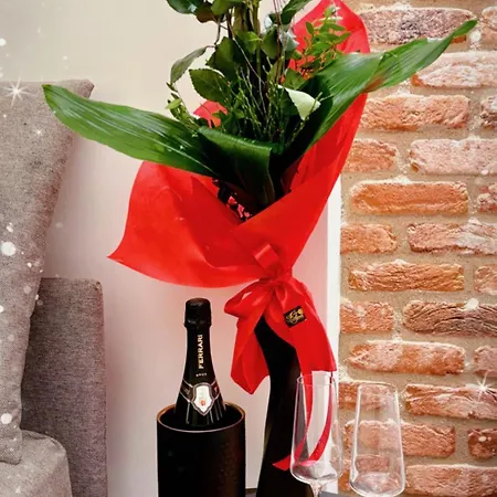 Apartamento Forum *