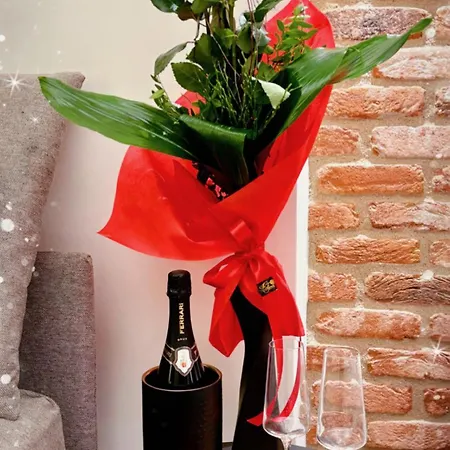 Apartamento Forum *